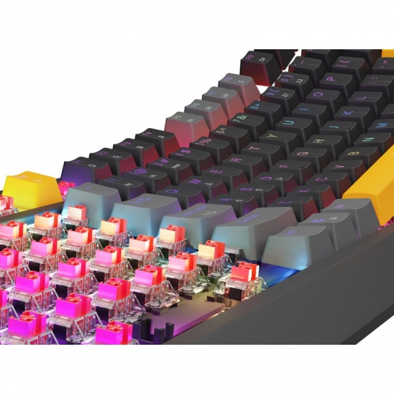 Клавиатура Genesis NKG-2081 THOR 230 TKL RGB, Backlight, Mechanical, Gaming (USB, US Layout)